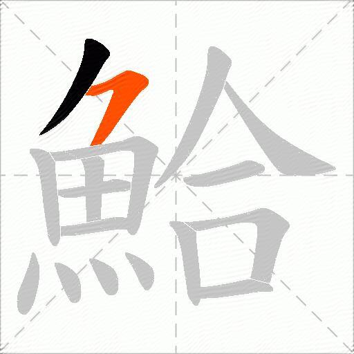 鮯