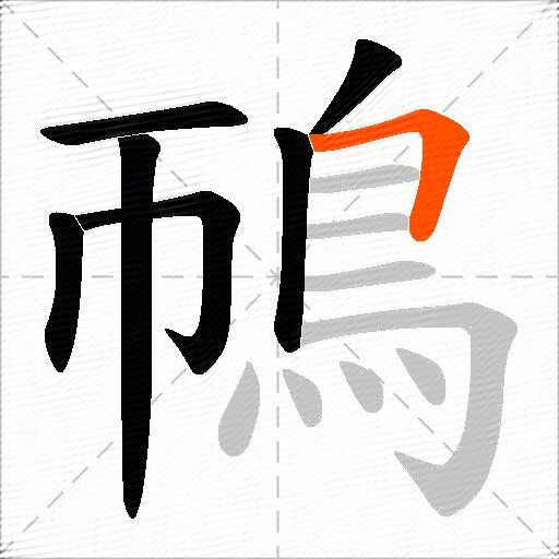 鳾