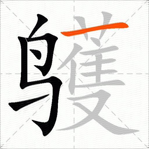 鹱