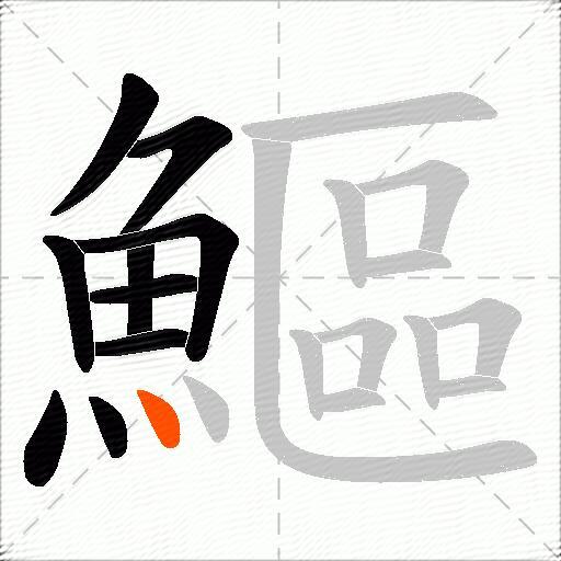 鰸