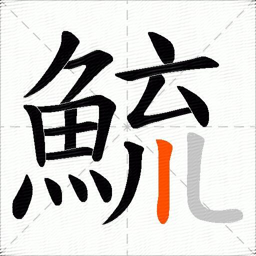 鯍
