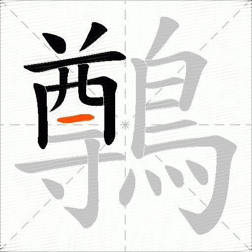 鷷