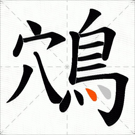 鴪