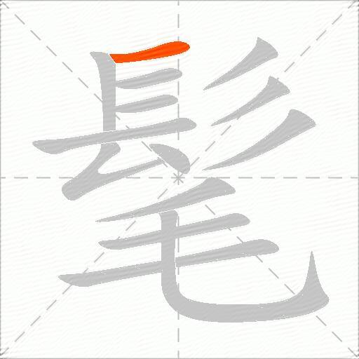 髦