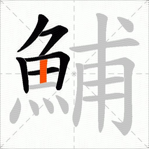 鯆