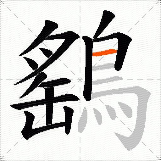 鷂