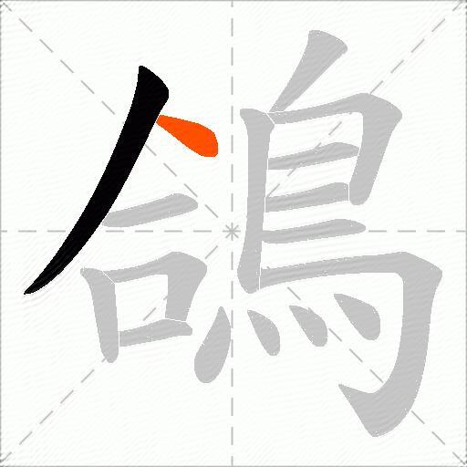 鴿