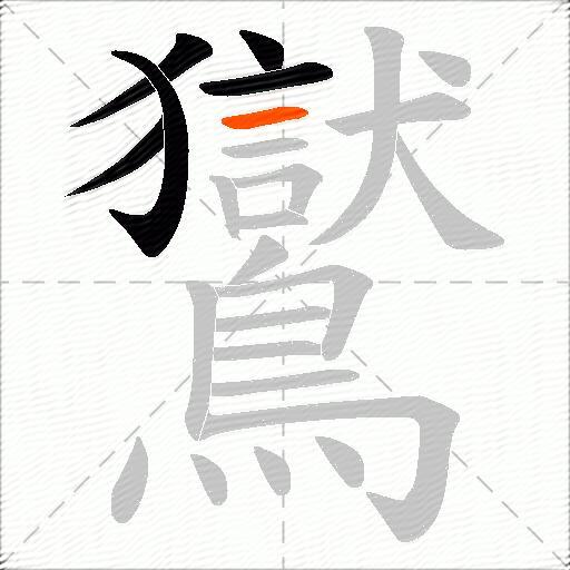 鸑