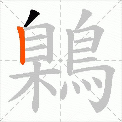 鷍
