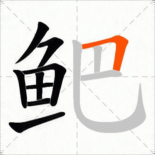 鲃