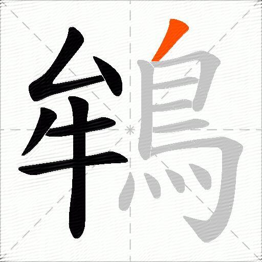 鴾