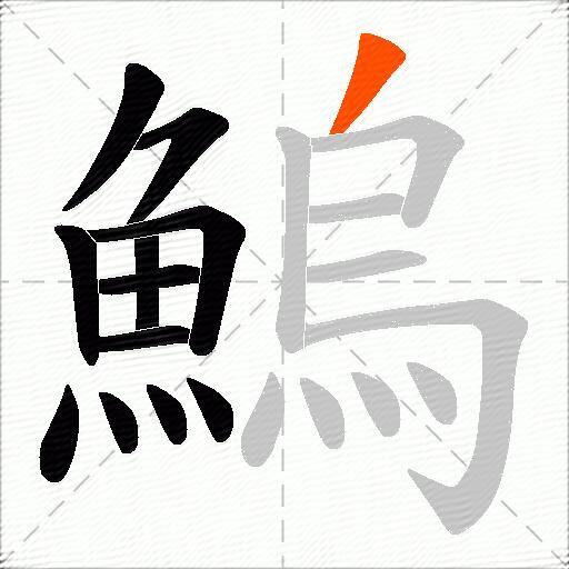 鰞