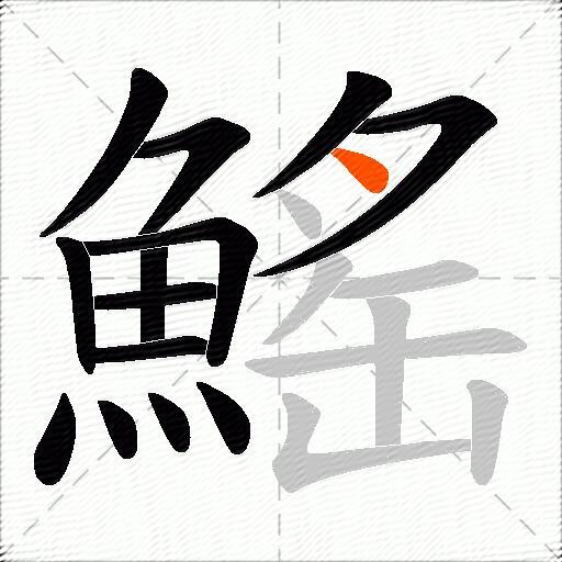 鰩