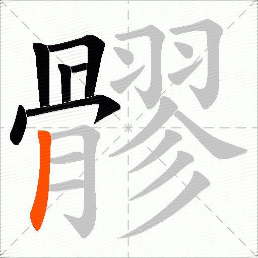髎