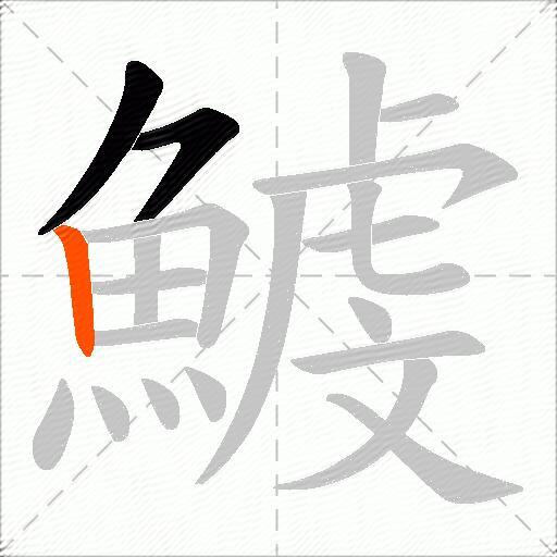 鰬