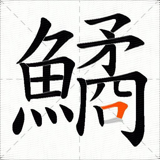 鱊