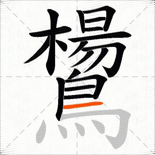 鸉