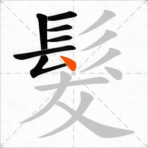 髮