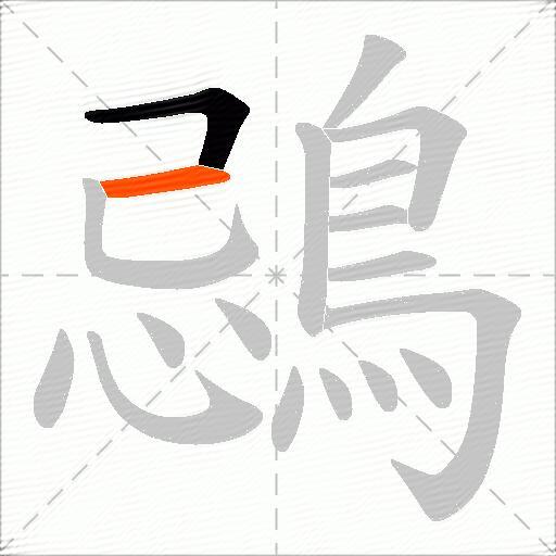鵋