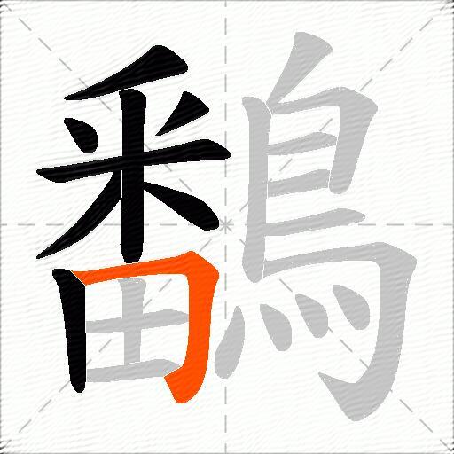鷭