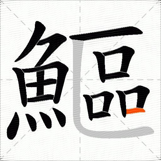 鰸