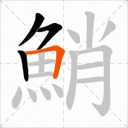 鮹