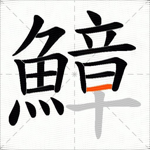 鱆