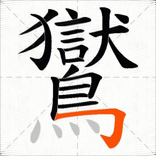 鸑
