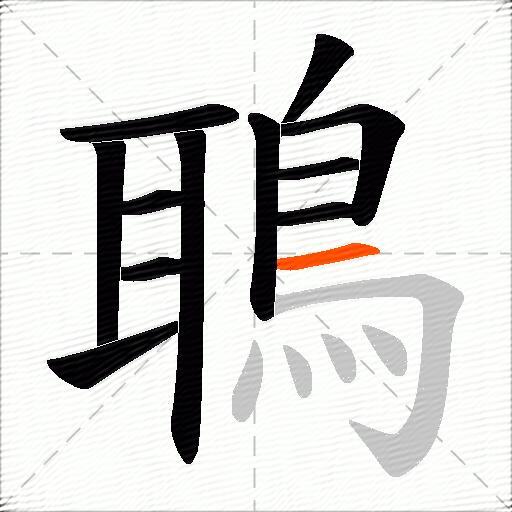 鵈