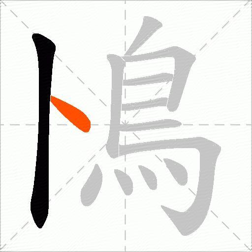 鳪