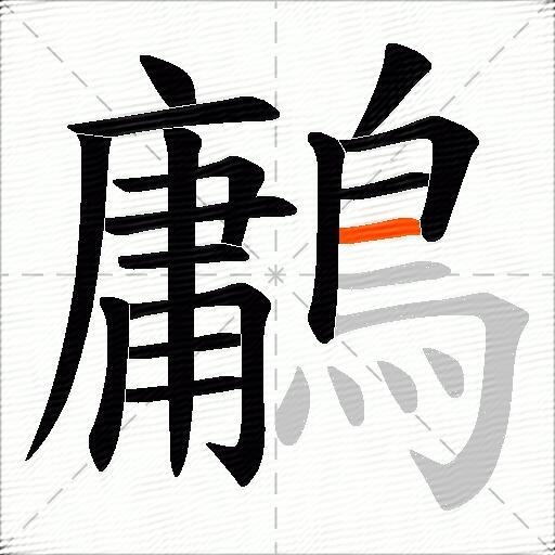 鷛