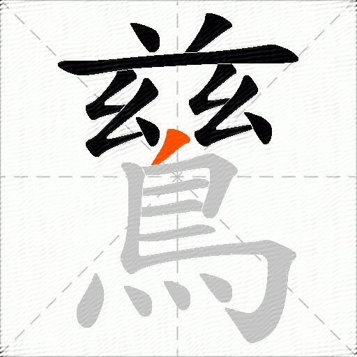 鶿