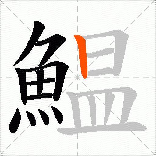 鰛