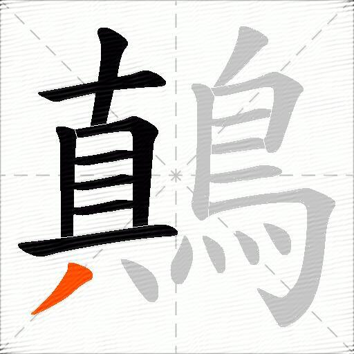鷏