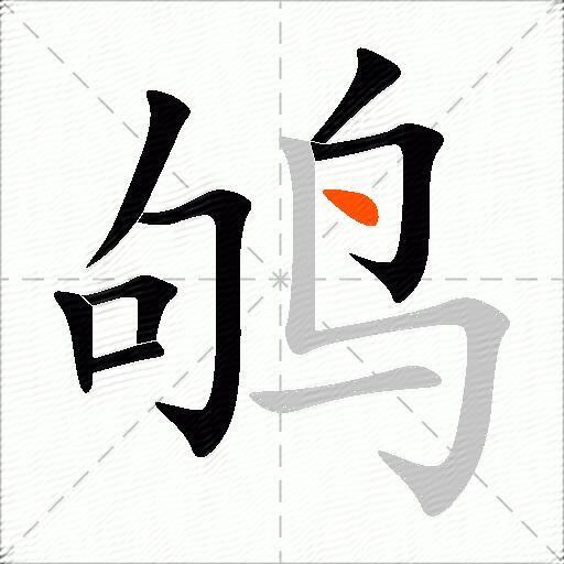 鸲