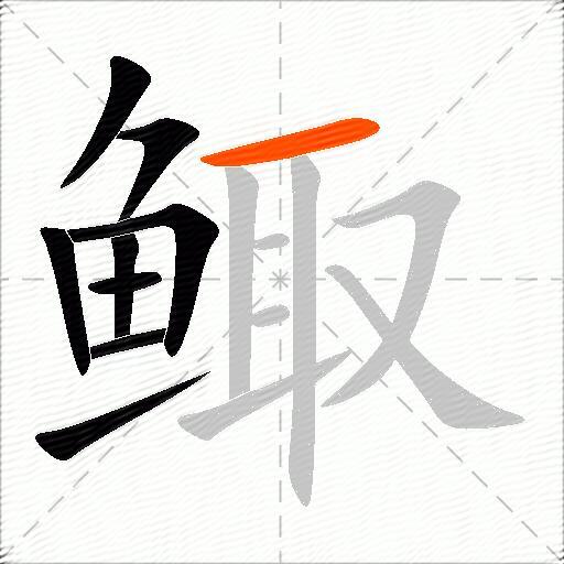 鲰
