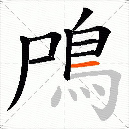 鳲