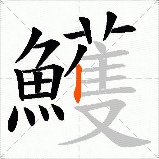 鱯