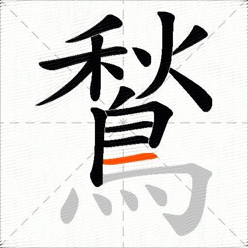 鶖