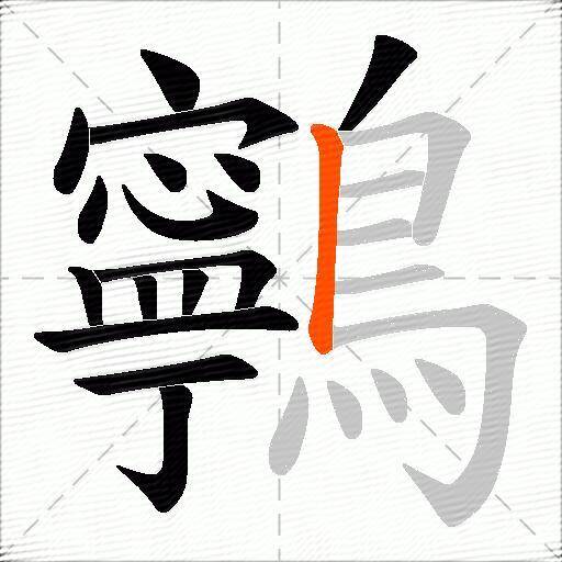 鸋