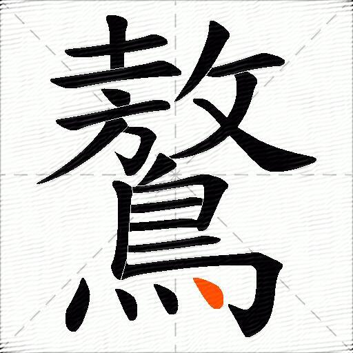 鷔