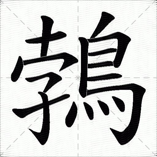 鵓