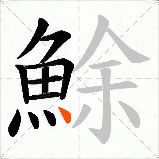 鮽
