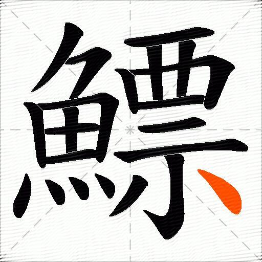 鰾