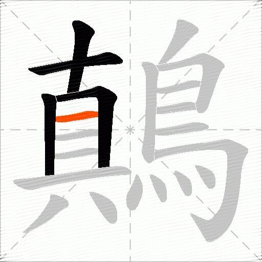 鷏