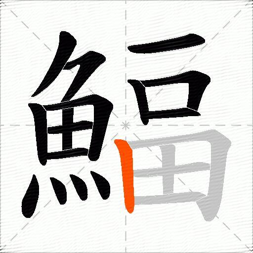 鰏