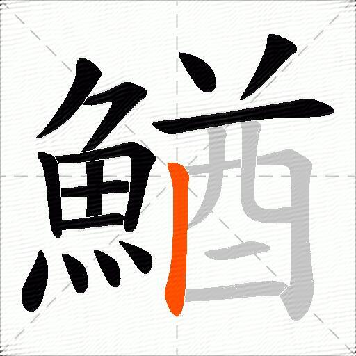 鰌