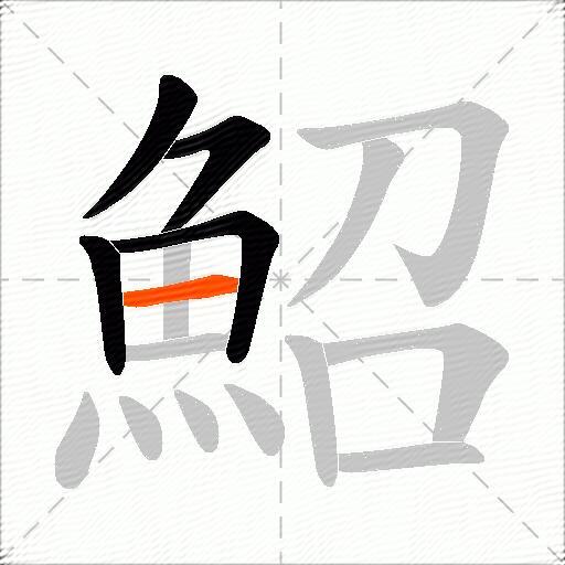 鮉