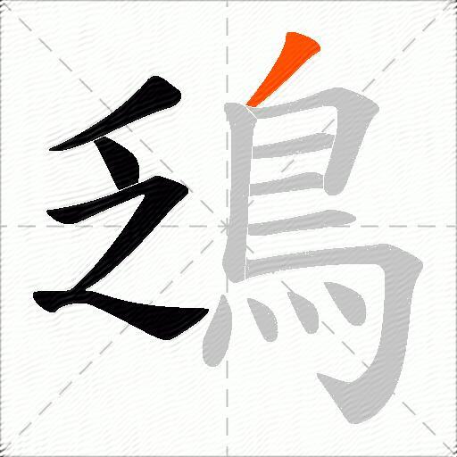 鴔