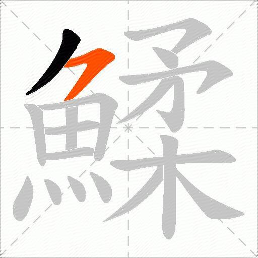 鰇